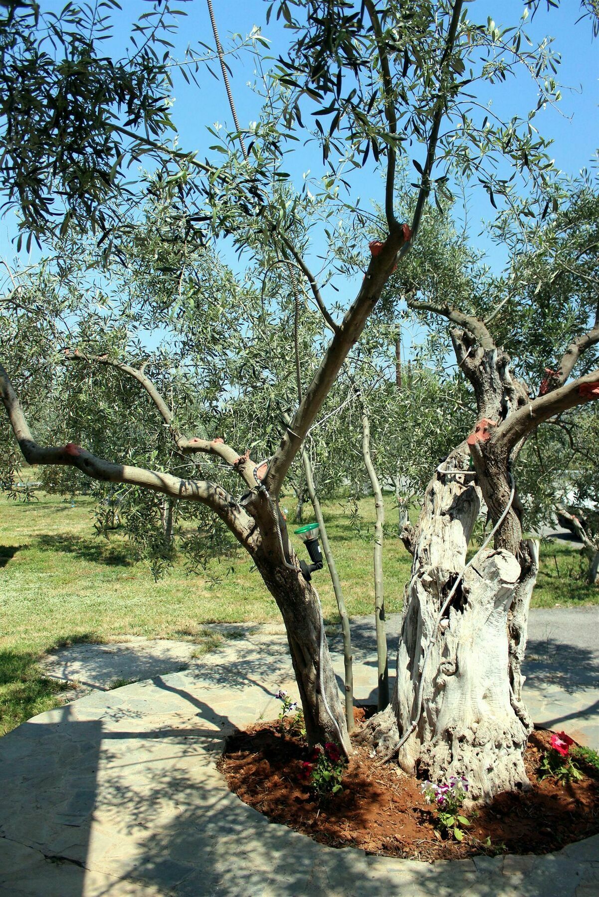 نافبليو Ktima Anastasia المظهر الخارجي الصورة